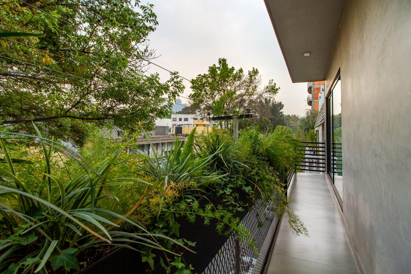 Descubre un nuevo lugar para vivir en la Colonia Escandón